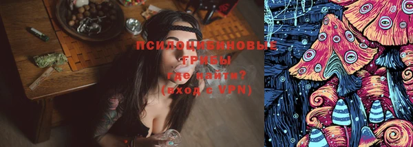 a pvp Аркадак