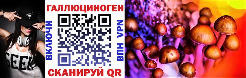 маркетплейс клад  Боровск  Галлюциногенные грибы Psilocybine cubensis  где купить  
